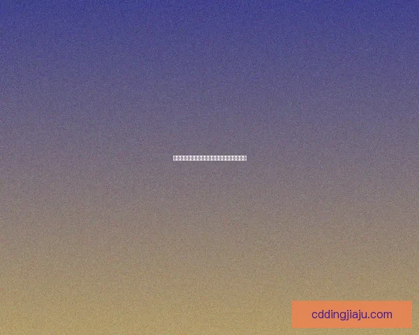 网约车驶向天涯海角：一场触及灵魂的奇遇之旅